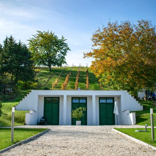 474100636_1442703403847723_7394780495177178203_n